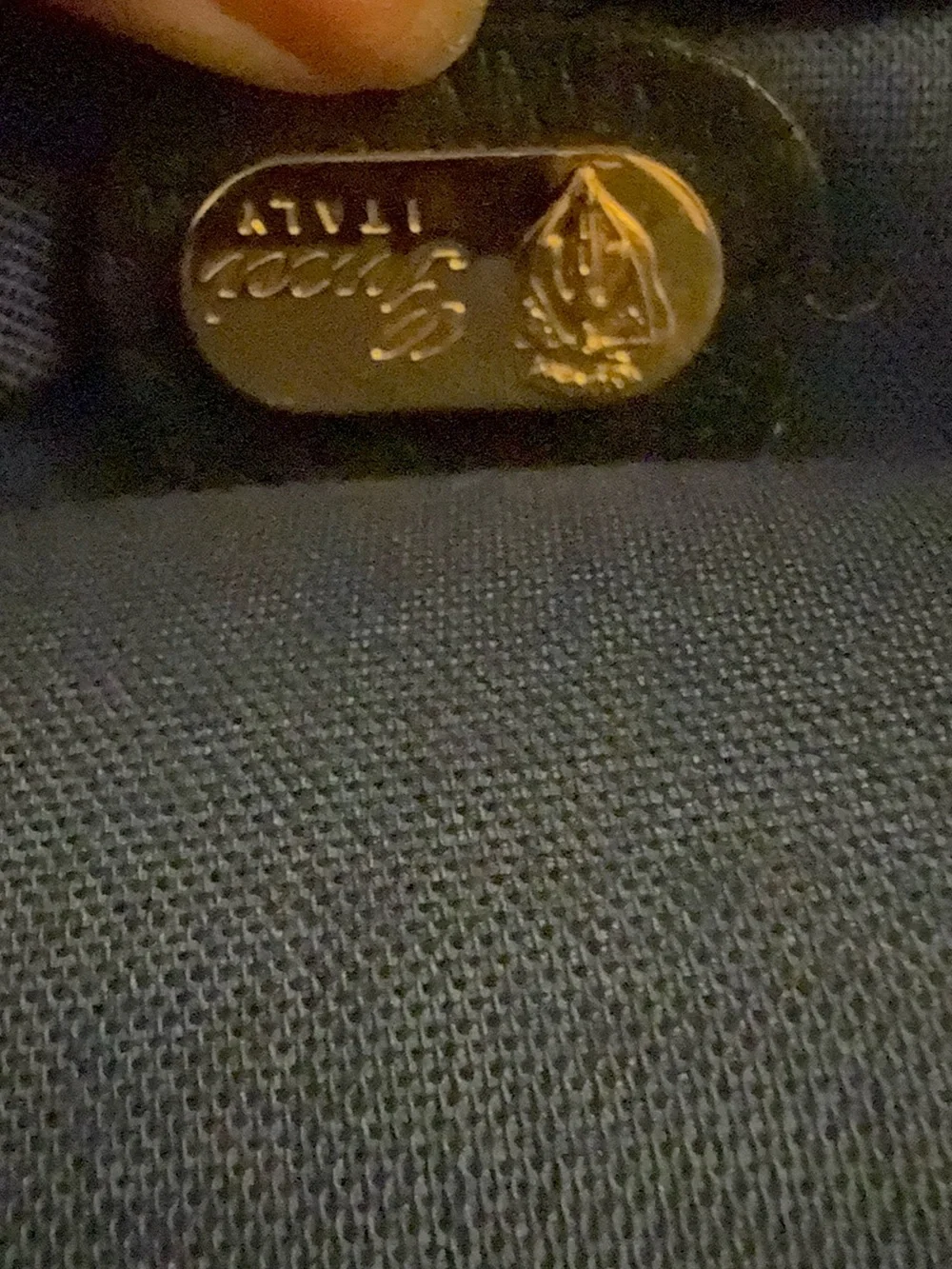 Gucci Beige and Blue GG Monogram Garment Cover